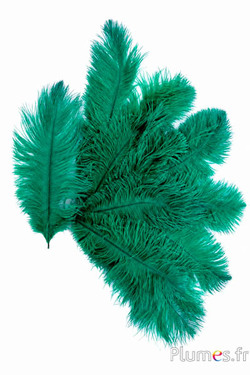 Struisvogel - 30-40 cm - smaragd